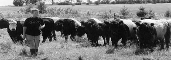 NAGCAT.jpg_b5b9b A black and white photograph of a young worker in a field with approximately ten cows.