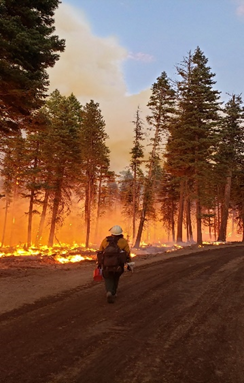 NIOSH employee Kathleen Navarro working as a wildland firefighter on the 2019 Cow Fire in Oregon. Photo by NIOSH NIOSH employee Kathleen Navarro working as a wildland firefighter on the 2019 Cow Fire in Oregon. Photo by NIOSH