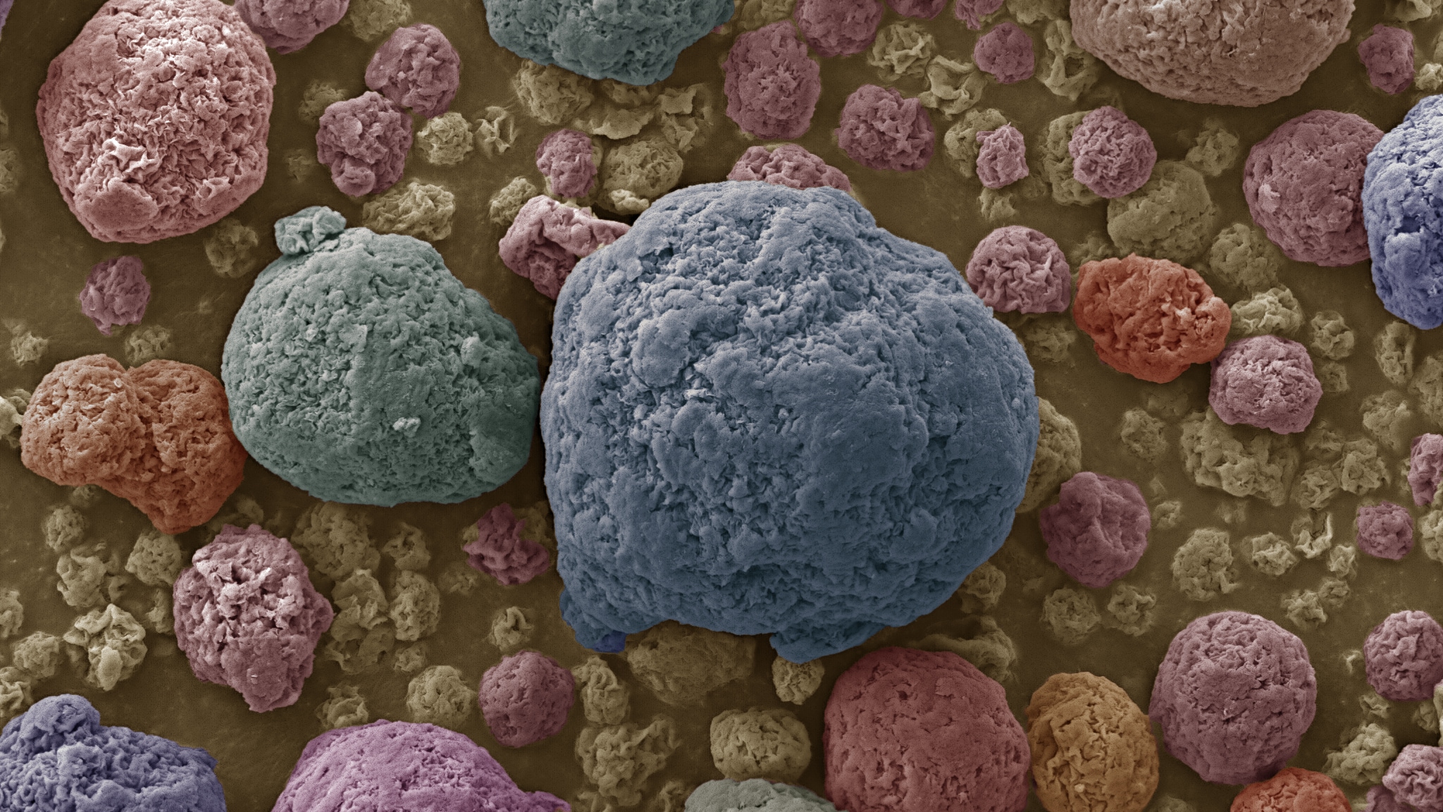 DD Image nanoclay particles Nanoclay Particles @2100x under Phenom SEM