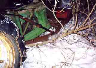 tree with loader frame