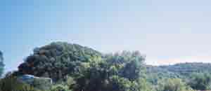vicinity of incident 