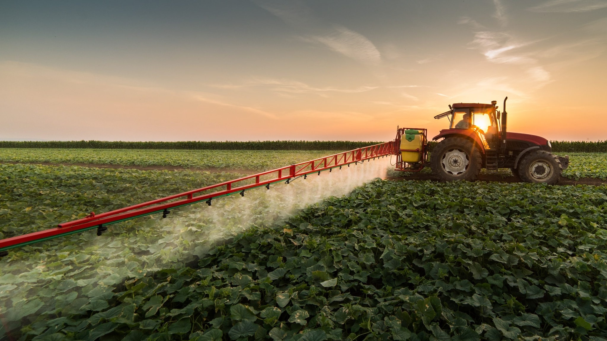 pesticides spraying Pesticides being sprayed on a field. Image by Getty Images.