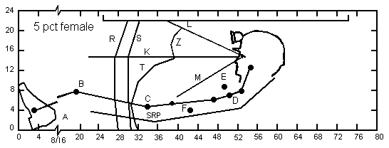 Seating space envelopes for 5th-percentile females in a 22-in cab height Seating space envelopes for 5th-percentile females in a 22-in cab height