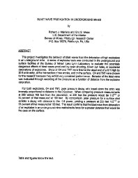 Image of publication Blast Wave Propagation in Underground Mines