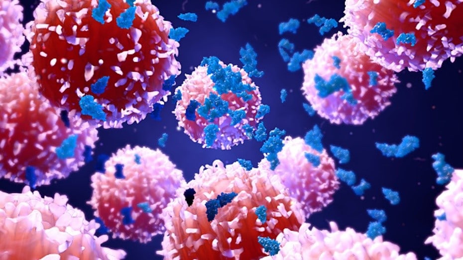 microscopic view of cancer cells
