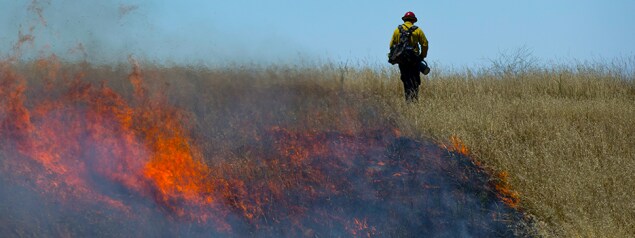 backburn Wildland Firefighter conducts back burn of dry grass to deny additional fuel sources in the event of a wildfire. Image provided by US Forest Service Technology and Development Program.