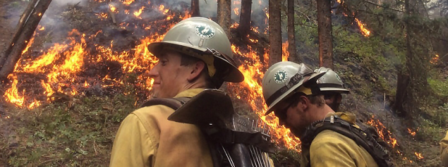 burnline Members of the Wyoming Wildland Firefighter Hotshot Crew monitor burn as it makes its way down a hillside. Image is courtesy of the US Forest Service Technology and Development Program.