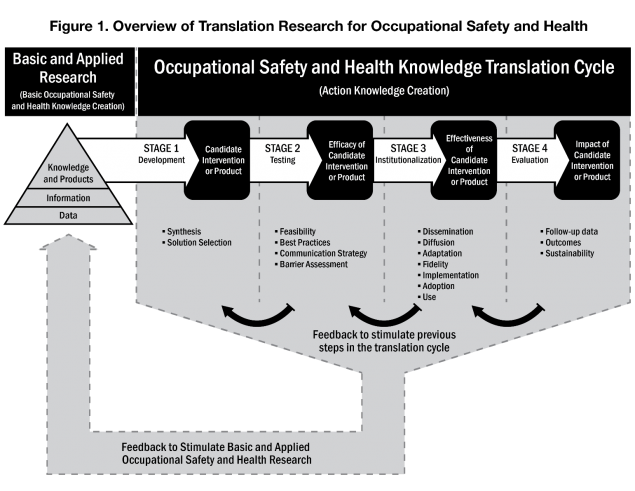 translationoverview graphic of feedback loop showing how applied research informs translation research and vice versa
