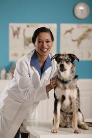 Vetinarian with a dog