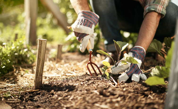 Image of a person gardening, gardening gloves, a tool and soil are visible.
