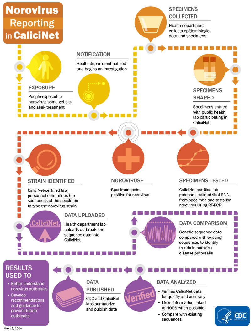 how-CaliciNet-works.gif Norovirus reporting in CaliciNet