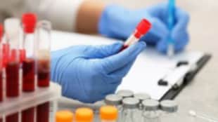 Essence-lab-categorizations-V1 ESSENCE Laboratory Categorizations v1 Image