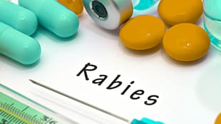 Rabies text with syringe and medications Rabies text with syringe and medications