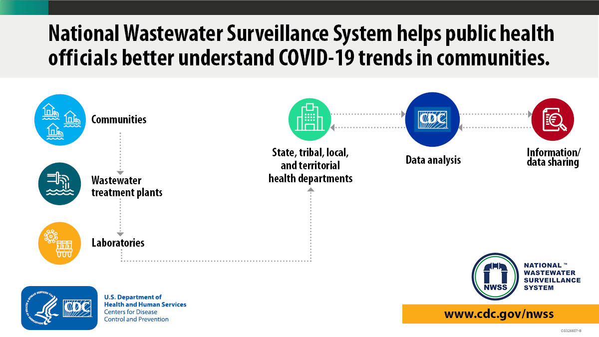 NWSS-flowchart-new flowchart - how the NWSS system will work