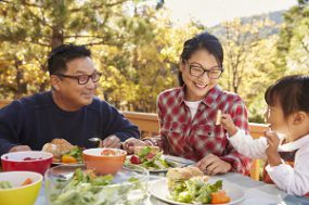 family-picnic.jpg A family eating a healthy meal outdoors