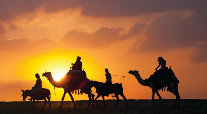 Donkey, Camel Times Two