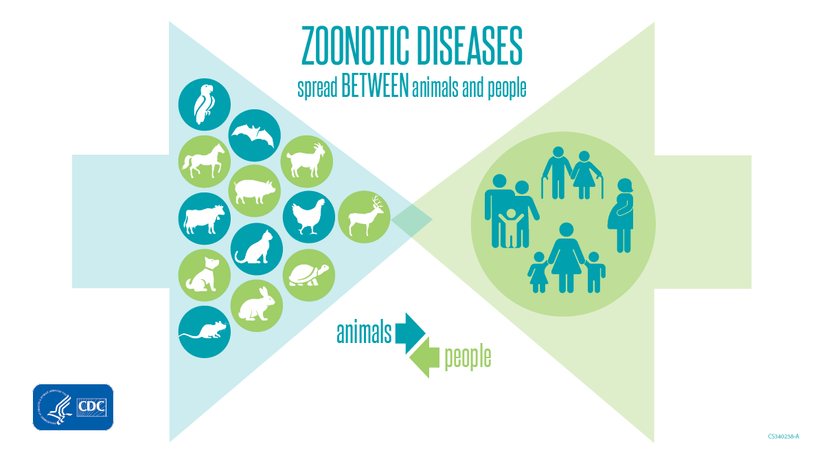 Zoonotic Diseases Spread Between Animals and People Zoonotic Diseases Spread Between Animals and People banner for twitter