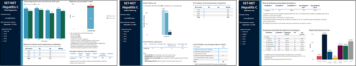 Snapshots of maternal and infant health-related visualizations made available to STLTs
