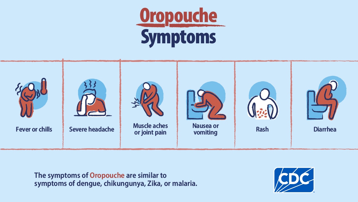Oropouche symptoms Graphic showing symptoms of Oropouche: fever/chills, headache, muscle aches/joint pain, nausea/vomiting, rash, diarrhea.