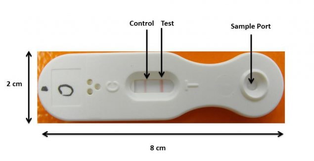 hazardous-drugs-test CDC NIOSH inventors first developed a test strip with a sample port and control and test result indicators to detect surface contamination by hazardous antineoplastic drugs.