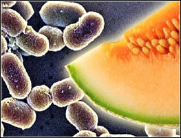 ORIGIN_img_LISTEROSIS Highly magnified photo of Listerosis, alongside a photo of a slice of canteloupe.