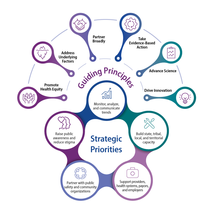 Large infographic with the words guiding principles and strategic priorities.