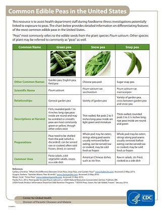 Common Edible Peas in the United States Cyclosporiasis FactSheet Peas
