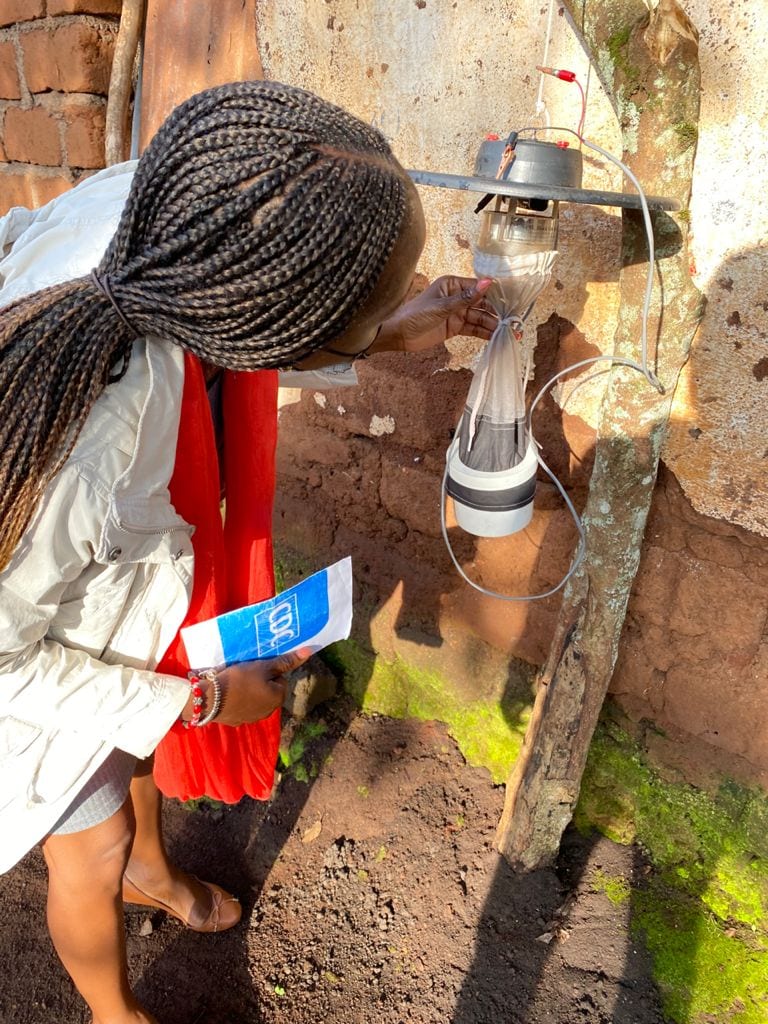 Outdoor_mosquito_collection_CDC_light_trap 4_Bed_net_distribution_Kenya