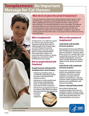 Toxoplasmosis: An Important Message for Cat Owners
