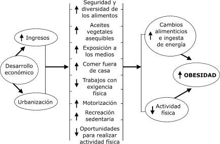 Flujograma del p醨rafo anterior