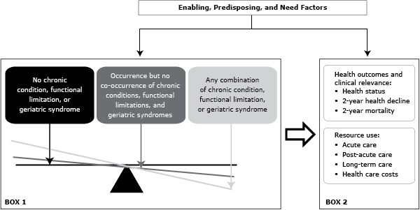 Model of how the occurrence and co-occurrence of chronic conditions, functional limitations, and geriatric syndromes would be associated with increased patient burden, use of health care services, and costs. 