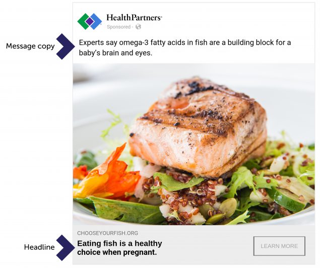 18_0621_01 Example Facebook advertisement used in the message testing campaign. The “expert” source ad shown here was most engaging for the audience of pregnant women.