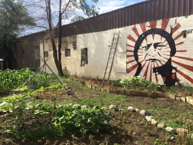 19_0117_01 The Standing Rock Boys and Girls Club started with a simple grow station and then transitioned their garden outdoors to create the Wakanyeja “Beginning of Life” garden where all are welcome.