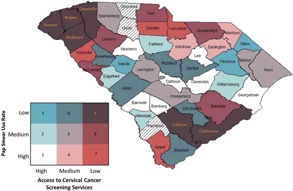 19_0254_03 Bivariate map displaying Pap test use and Breast and Cervical Cancer Early Detection Program cervical cancer screening availability with color-coded legend. (Counties with hatch marks had insufficient data to map.)