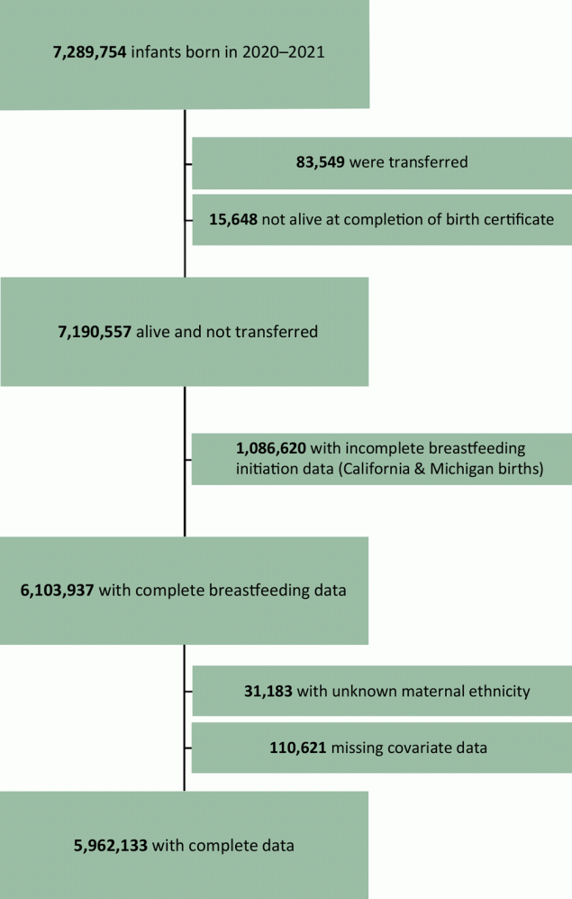 23_0199_01 Flow of participants in an analysis of disaggregated breastfeeding initiation rates by race and ethnicity, United States, 2020–2021, using National Vital Statistics System birth certificate data from 2020–2021 US births. Source: National Vital Statistics System (19).