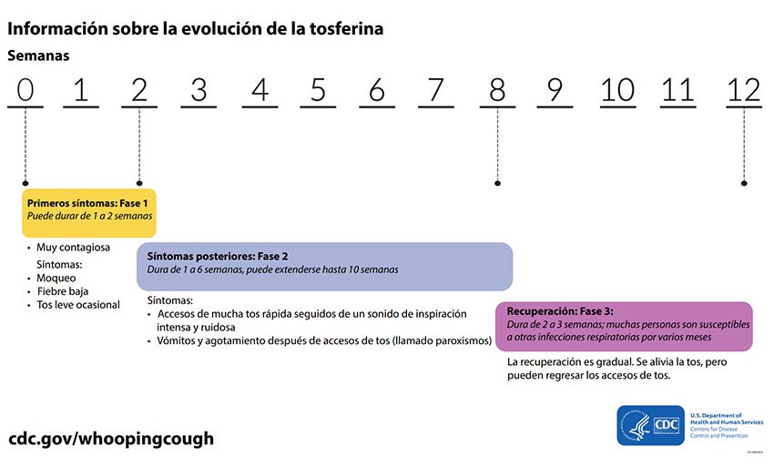 Evoluci%26oacute;n de la tos ferina