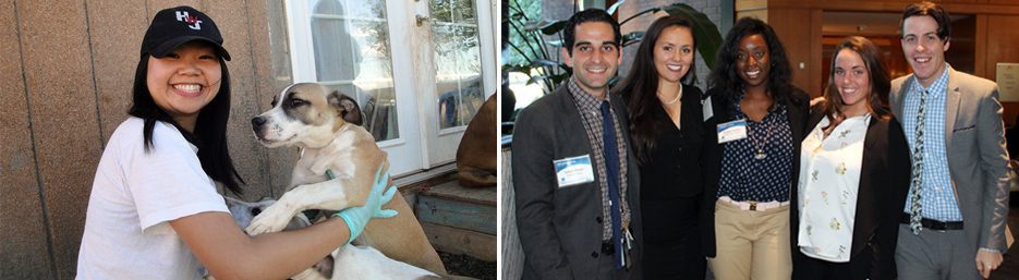 PHAP_web_935x257 Two side-by-side photographs. The picture on the left shows a smiling young female wearing disposable gloves greeting two dogs. The picture on the right shows 5 people in business dress posing to be photographed.