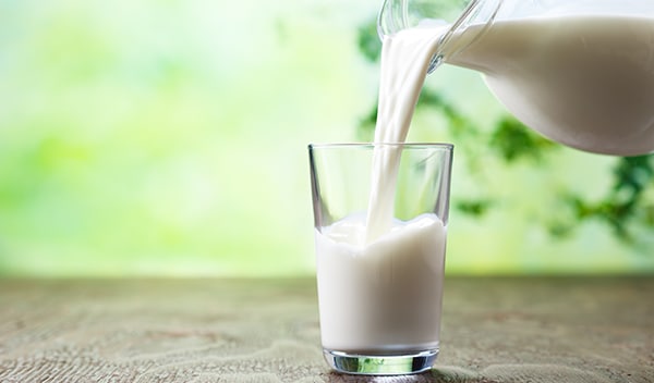 Pouring milk in the glass on the background of nature