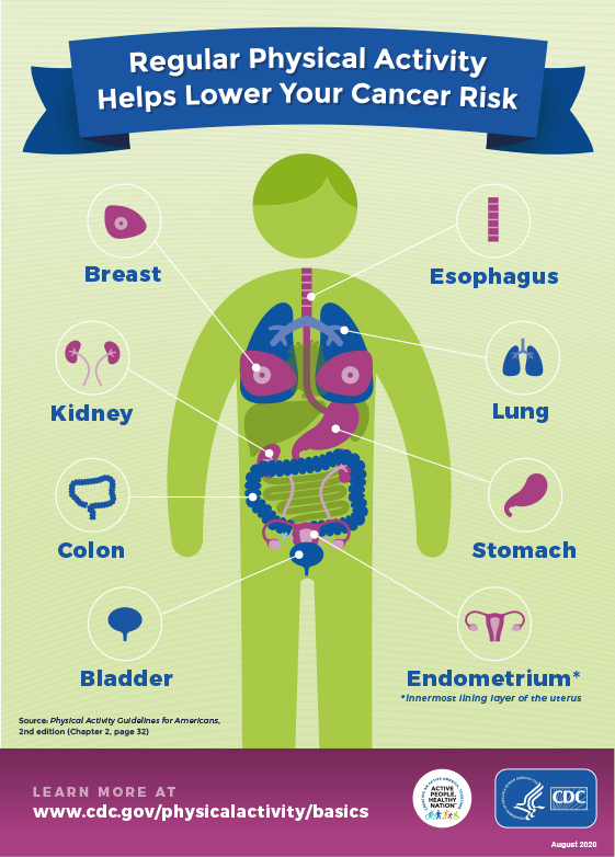 Regular physical activity helps lower cancer risks for your bladder, breast, colon, endometrium, esophagus, kidney, lung and stomach