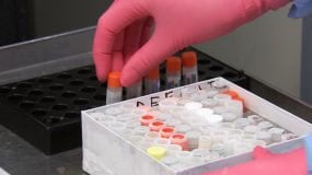 multipe syringes