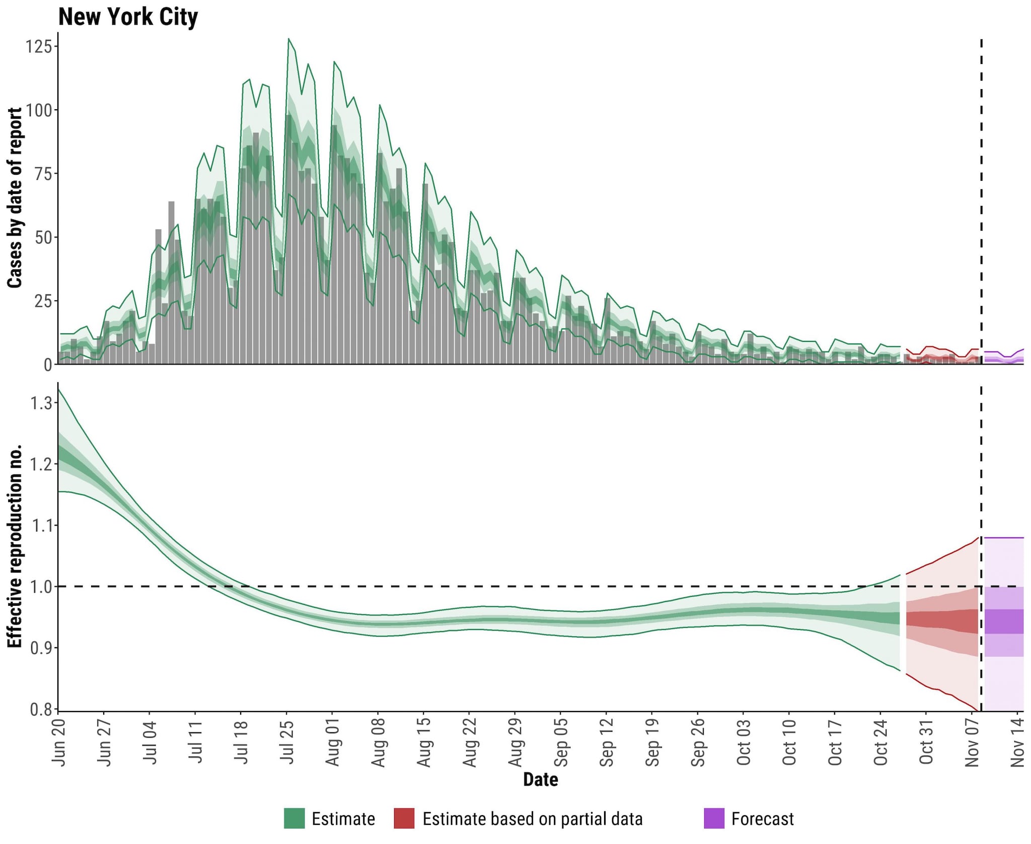New York City Data and Graphs