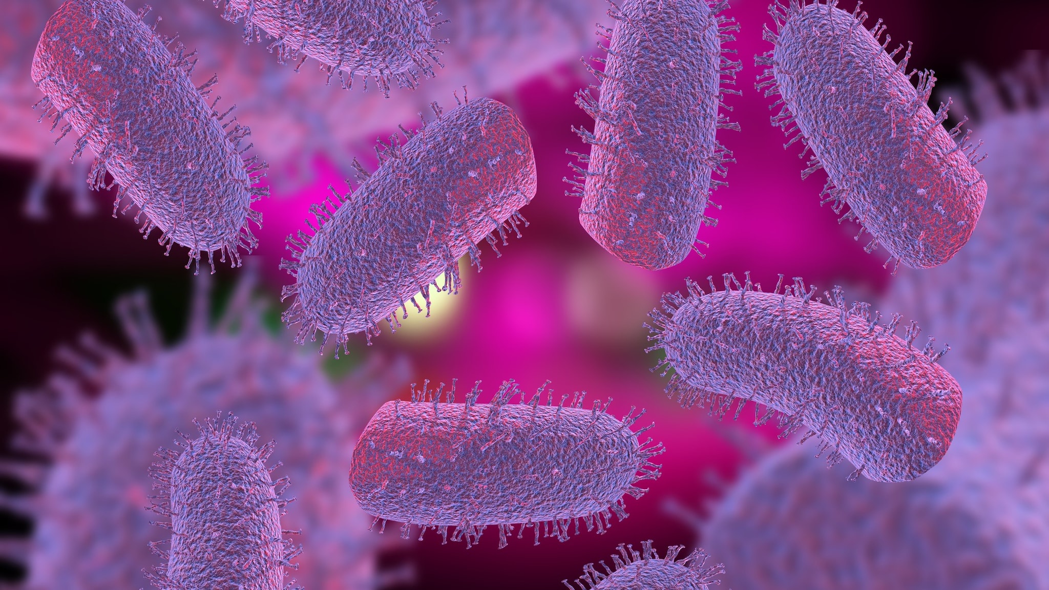 Rabies virus Microscopic image of the rabies virus