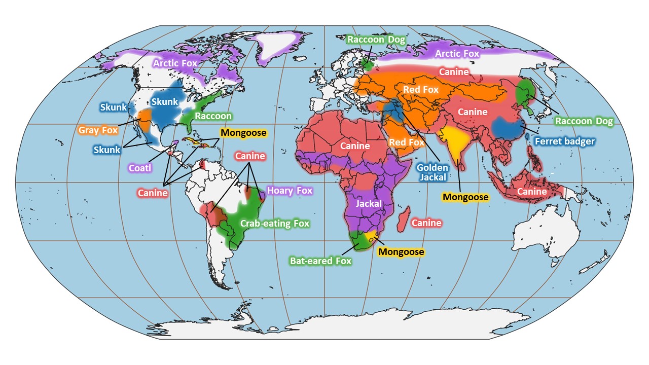 This world map color-codes which species around the world that could potentially to carry rabies