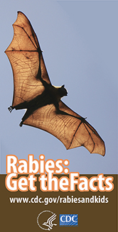 Rabies information for kids: Get the Facts. Visit www.cy118119.com/rabiesandkids for more information.