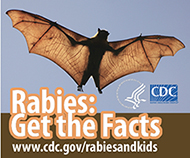Rabies information for kids: Get the Facts. Visit www.cy118119.com/rabiesandkids for more information.