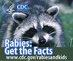 Rabies information for kids: Get the Facts. Visit www.cy118119.com/rabiesandkids for more information.