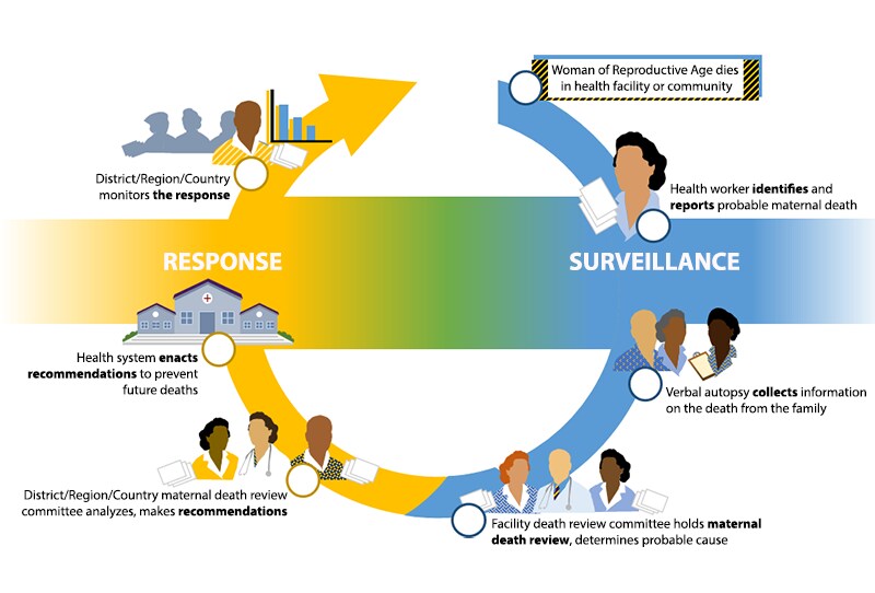Maternal Death Surveillance Response Maternal Death Surveillance Response Flowchart
