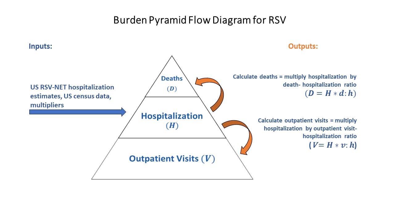 Starting on the left, there is an arrow that leads to a pyramid. The left-most arrow is labeled "US RSV-NET hospitalization estimates, US Census data, multipliers ". The arrow, labeled "US RSV-NET hospitalization estimates, US Census data, multipliers", is leading right to the middle of the pyramid, which is labeled "Hospitalization (H)". In the pyramid, the base is labeled "Outpatient Visits (V)", and the top is labeled "Deaths (D)". On the right-side of the pyramid are arrows coming from the middle section titled “Hospitalization (H)”, with one leading up to the top section, labeled "Deaths (D)", and another arrow leading down to the bottom section, labeled "Outpatient Visits (V)”.
