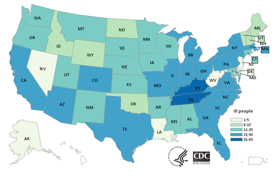 Graphic of the country with the number for each state with people infected Salmonella 