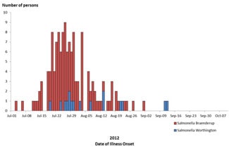 Final Epi Curve: Persons infected with the outbreak strain of Salmonella Braenderup, by date of illness onset 